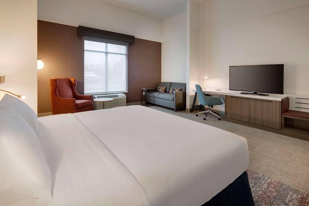 Studio Suite, 1 King Bed (Roll-In Shower) - Photo 2