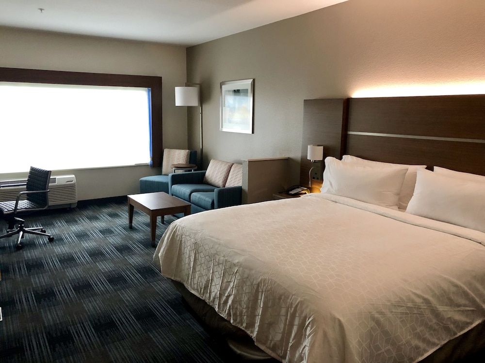Suite, 1 King Bed, Roll-in Shower (Mobility Accessible) photo 2