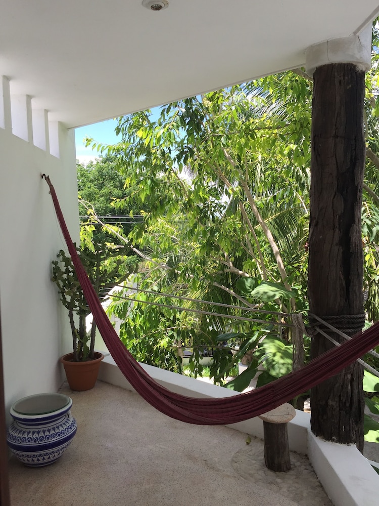 Standard Room, 1 King Bed, Terrace photo 3