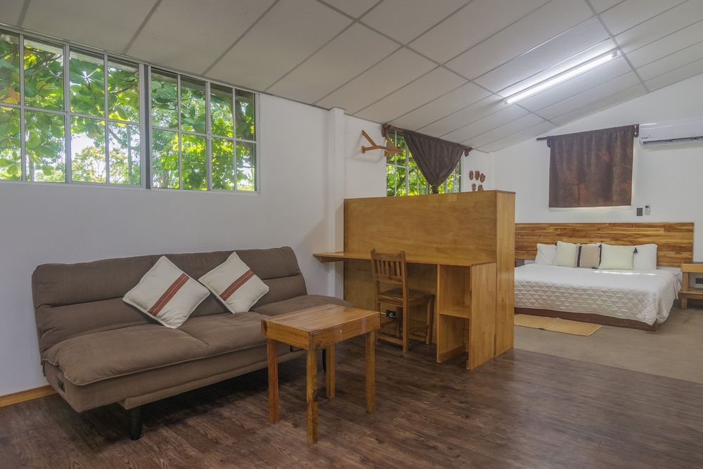 Premium Studio, 1 King Bed, Terrace with HOT WATER photo 2