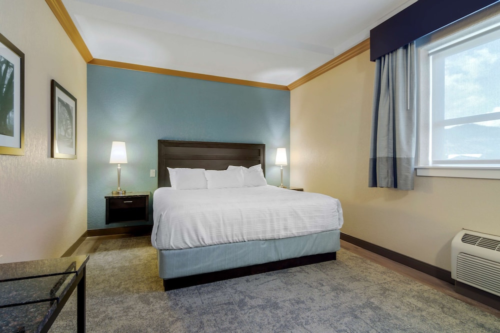 Suite, 1 King Bed, Non Smoking, Refrigerator & Microwave (Separate Living Room;with Sofabed) photo 1