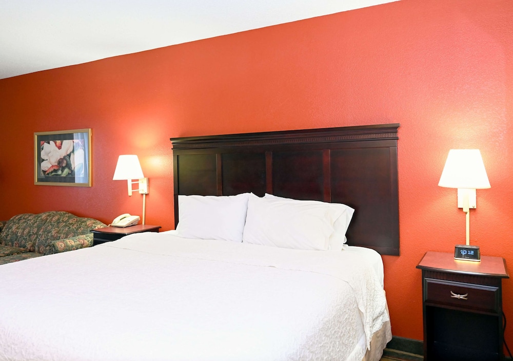 Standard Room, 1 King Bed with Sofa bed, Non Smoking