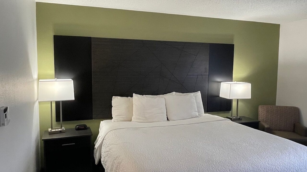 Room, 1 King Bed, Non Smoking - Photo 3