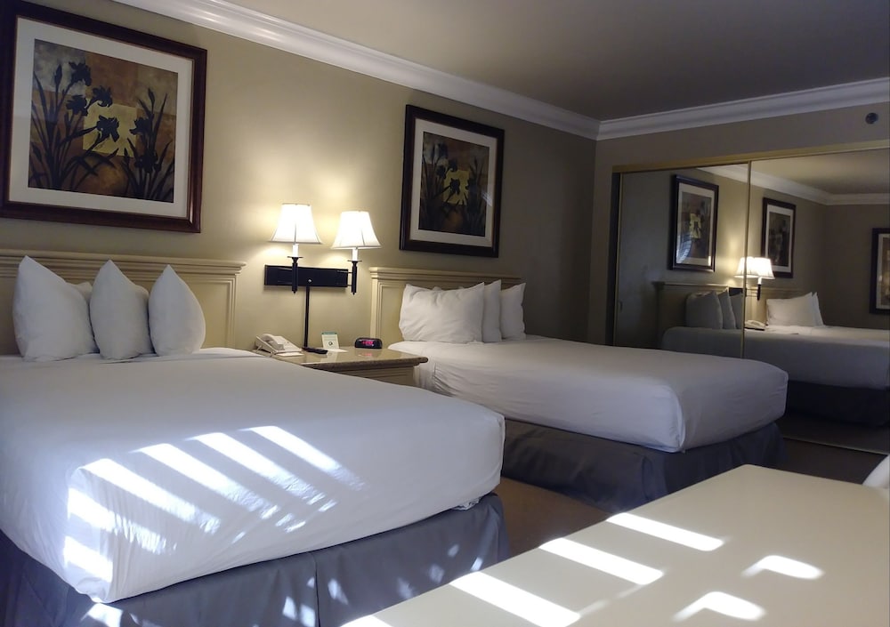 Standard Room, 2 Double Beds photo 3