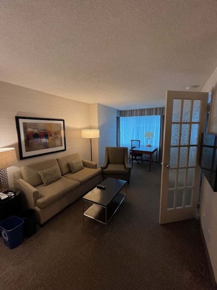 Deluxe Suite, Multiple Beds - Photo 7