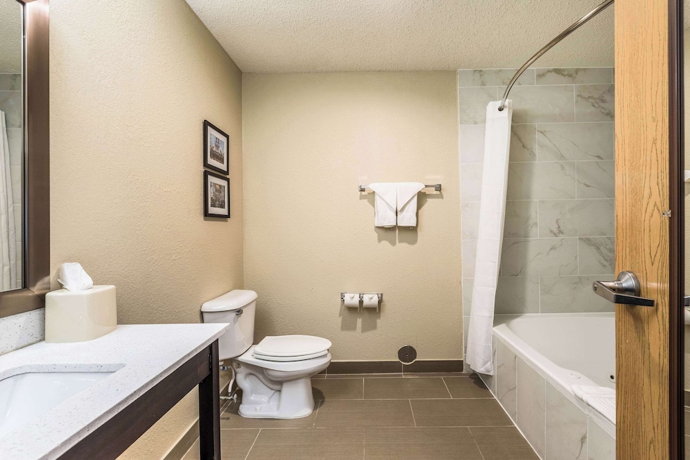 Standard Room, 1 King Bed, Non Smoking, Jetted Tub - Photo 4
