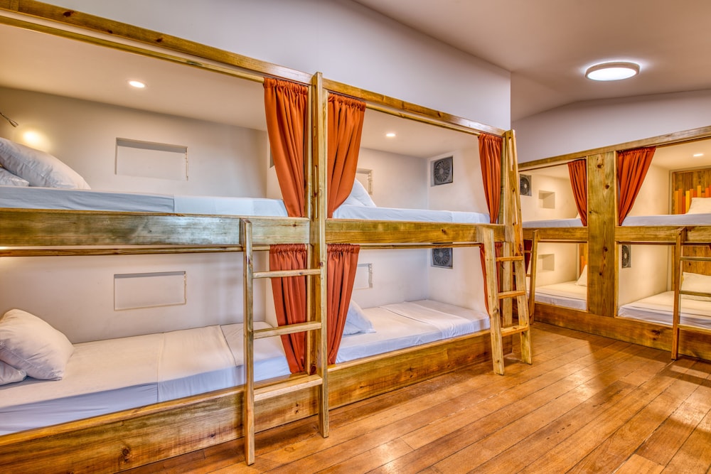 Basic Shared Dormitory photo 1