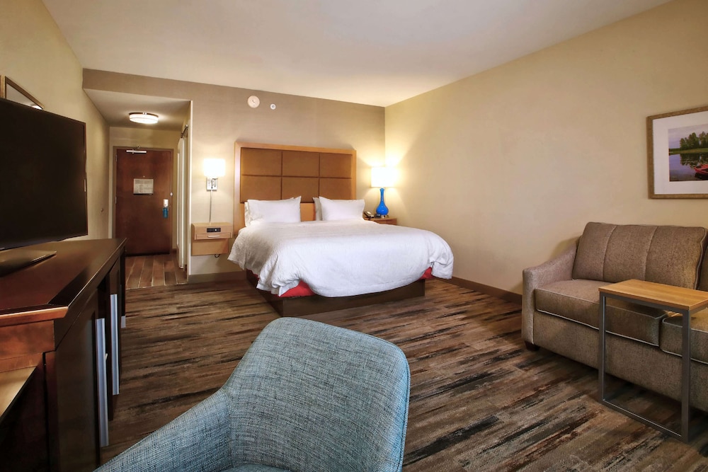 Room, 1 King Bed, Accessible, Bathtub (Mobility & Hearing) photo 3