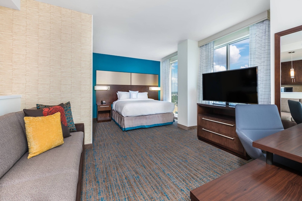 Studio, 1 King Bed with Sofa bed