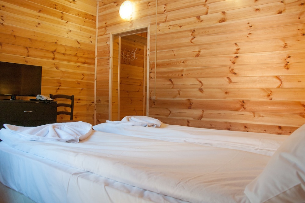 Standard Twin Room photo 3
