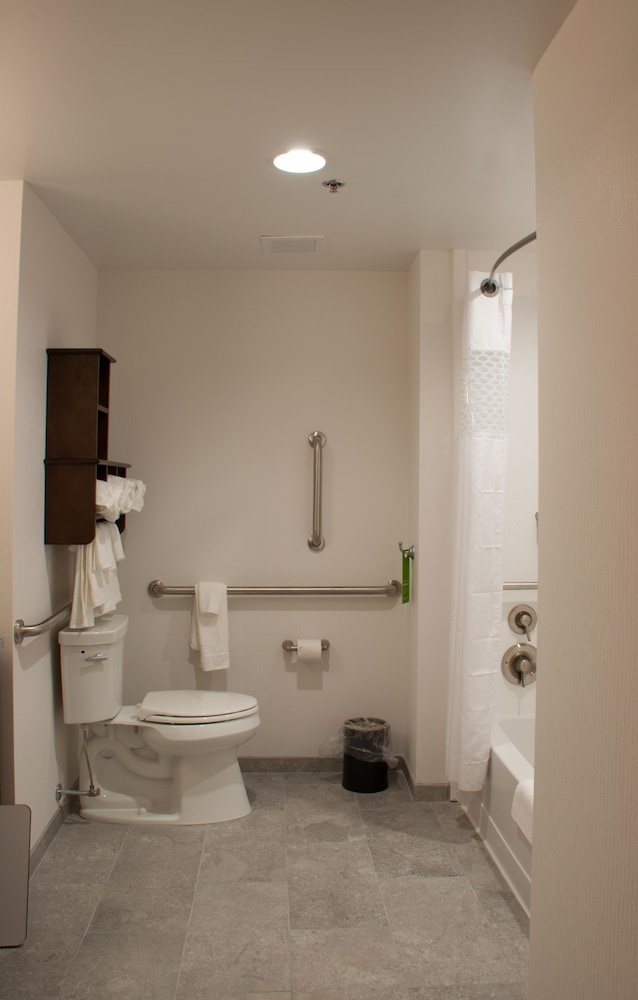 Room, 1 King Bed, Accessible (Mobility & Hearing, Roll-In Shower) photo 3