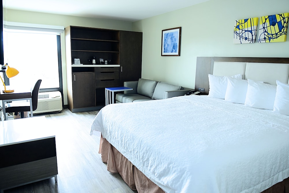 Deluxe Room, 1 King Bed, Non Smoking (Walk-in Shower;with Sofabed) photo 1