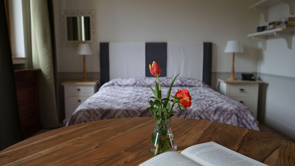 Deluxe Studio, 1 Double Bed, Non Smoking, No Pets photo 1