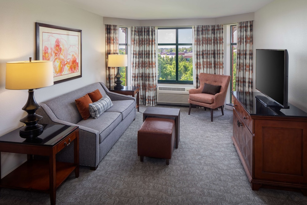 Suite - Photo 5