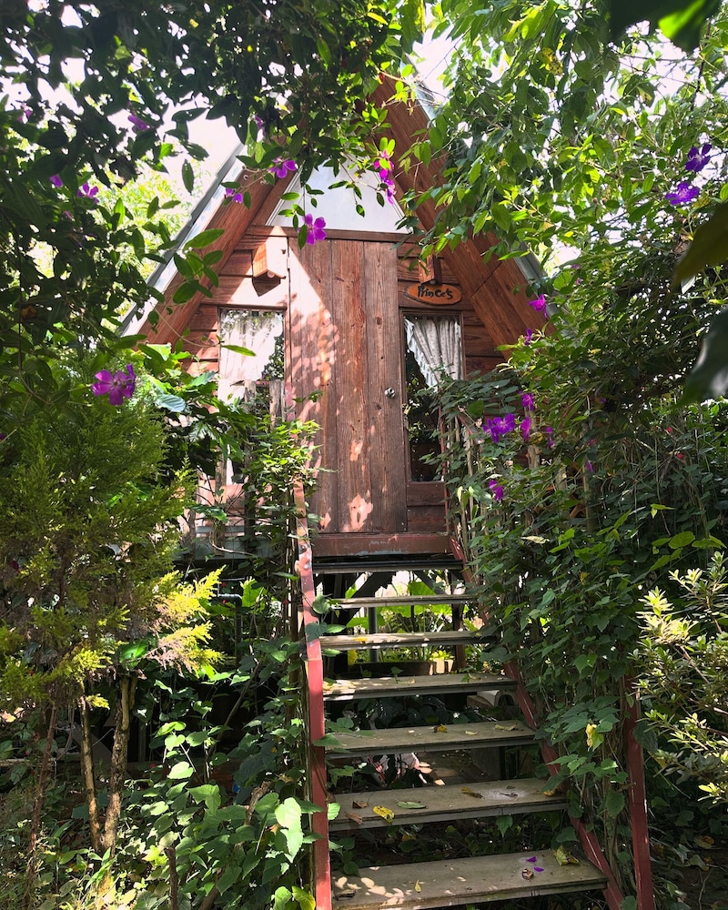 Romantic Bungalow, Garden View