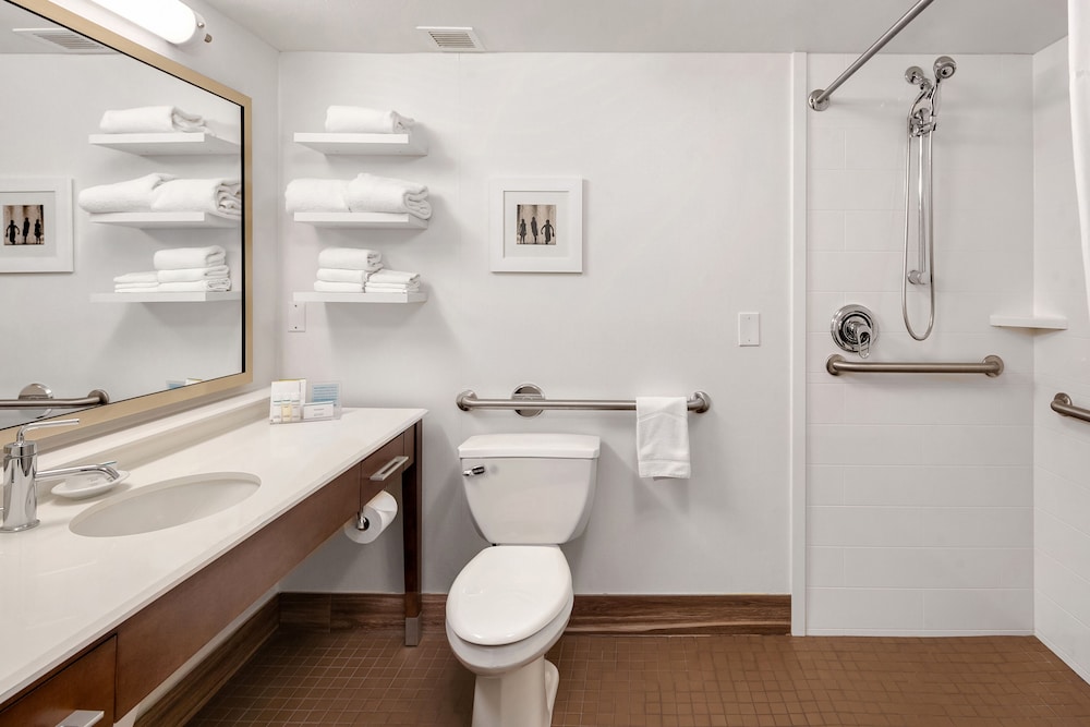 Single Room, 1 King Bed (Mobility & Hearing, 3x3 Shower) - Photo 5
