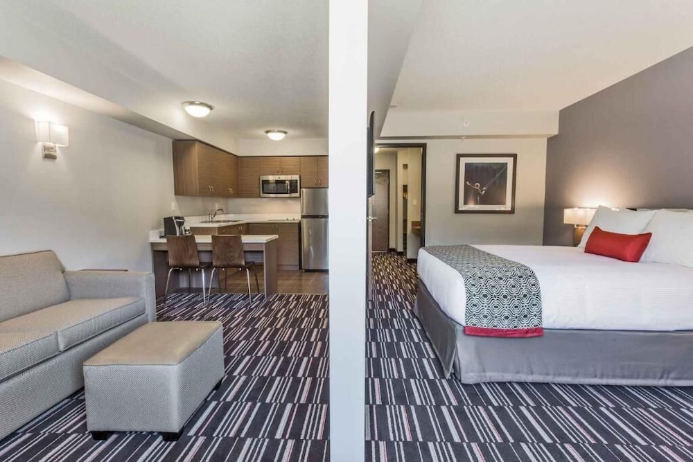 Studio Suite, 1 Queen Bed, Non Smoking photo 1
