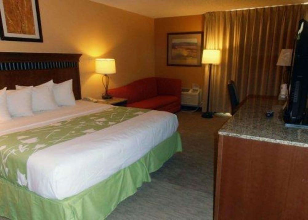 Room, 1 King Bed, Non Smoking (Efficiency) photo 1
