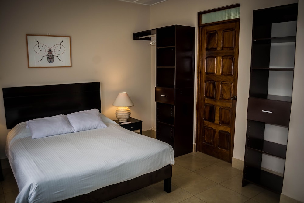 Deluxe Studio, 1 Queen Bed photo 3
