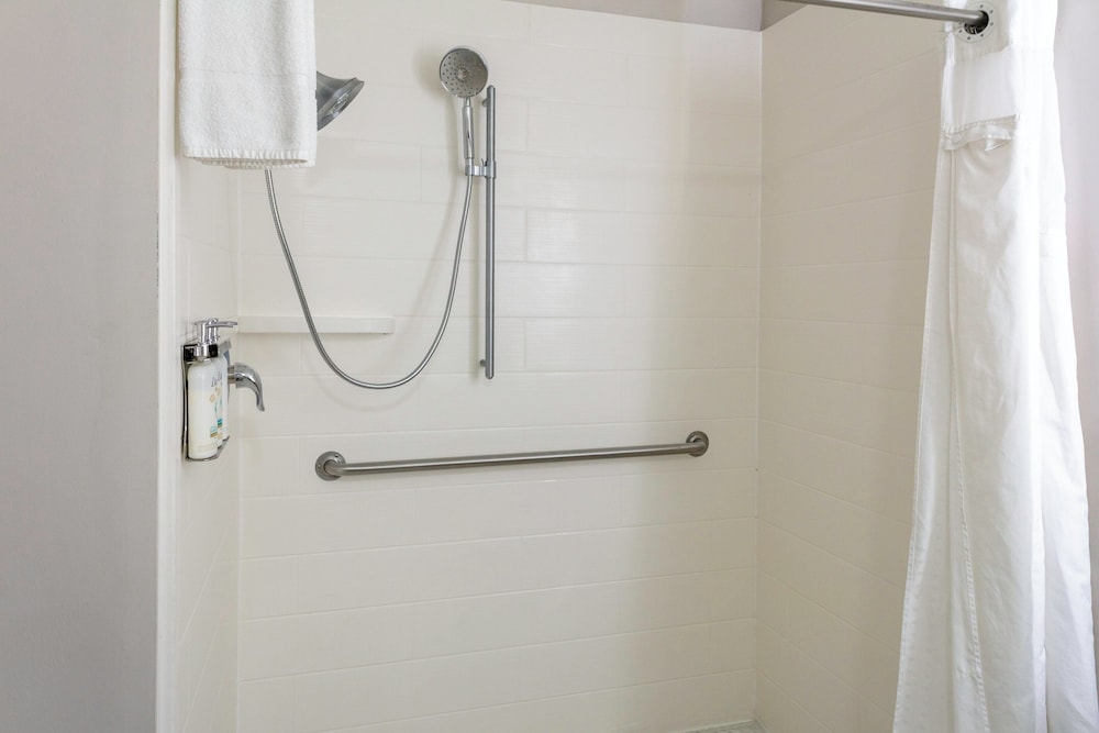 Suite, 1 King Bed, Accessible (Mobil, Roll In Shwr) - Photo 7
