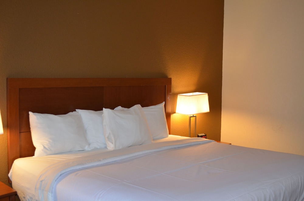 Room, 1 King Bed photo 2
