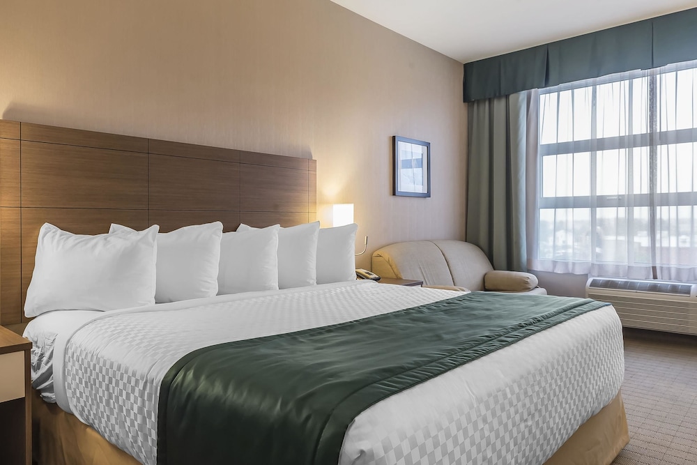 Standard Room, 1 King Bed with Sofa bed photo 3