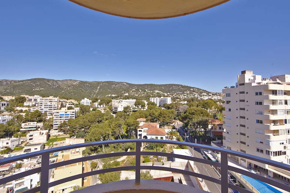 Single Room, Mountain View