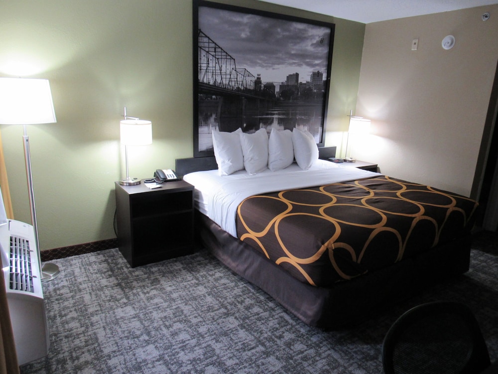 Room, 1 King Bed, Non Smoking - Photo 6