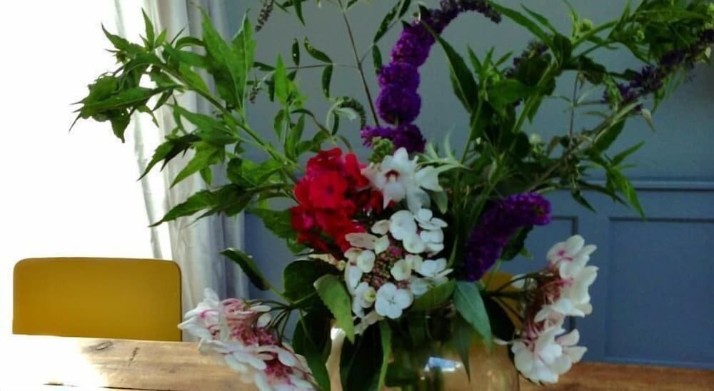 Spaarne Loft photo 2