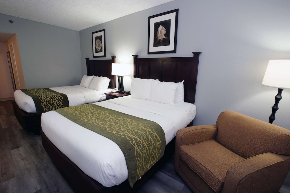 Standard Room, 2 Queen Beds, Non Smoking, Refrigerator & Microwave - Photo 6