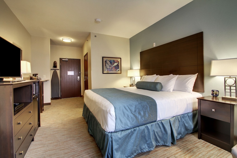 Room, 1 King Bed, Non Smoking photo 3