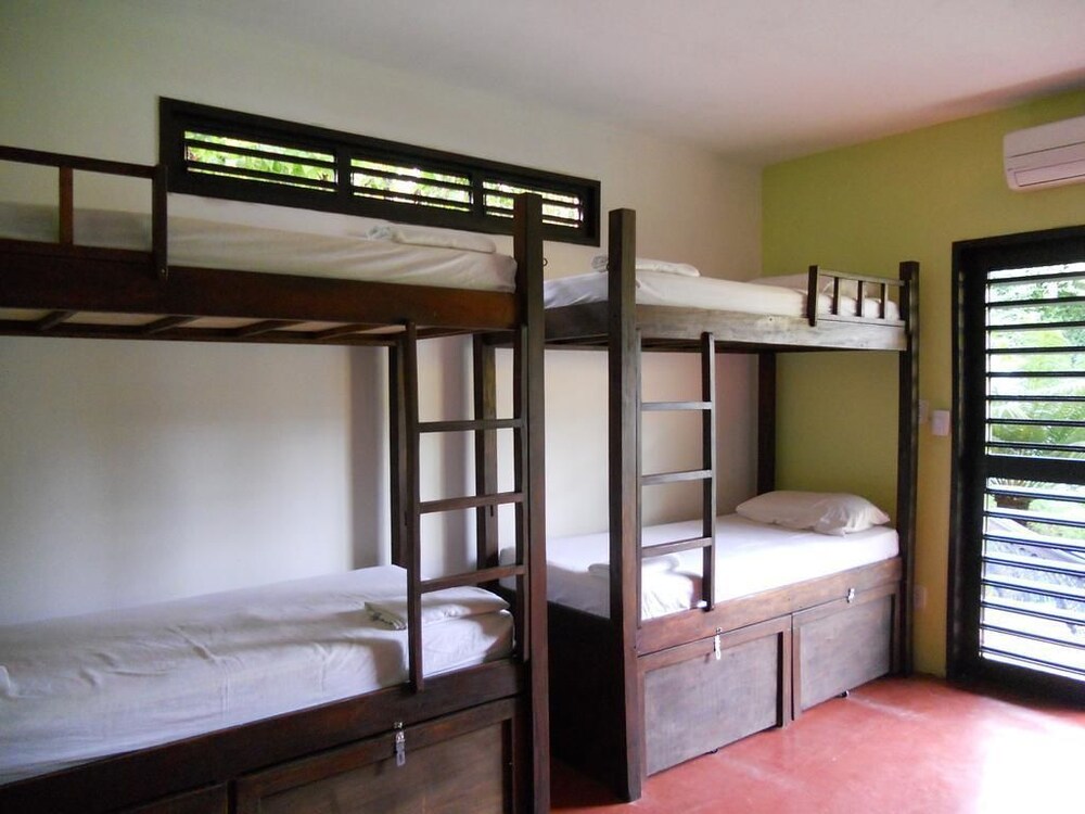 Shared Dormitory, Mixed Dorm photo 1