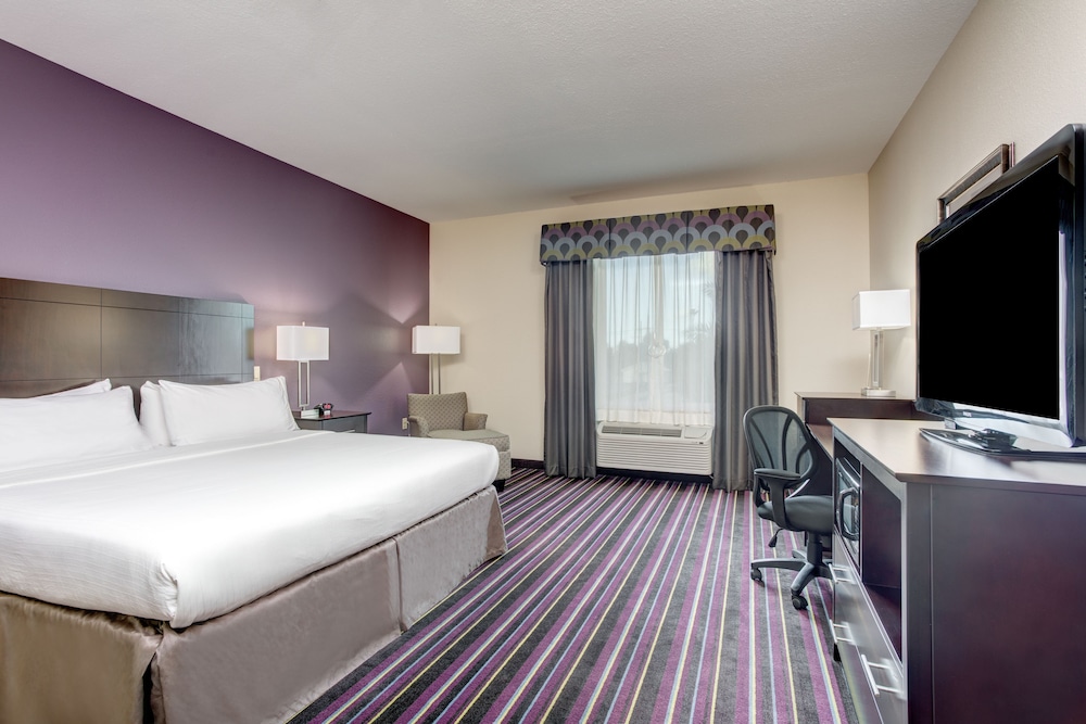 Room, 1 King Bed, Accessible, Non Smoking (Accessible Tub) - Photo 1