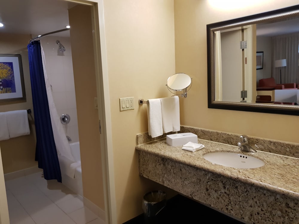 Suite, 1 Bedroom - Photo 20