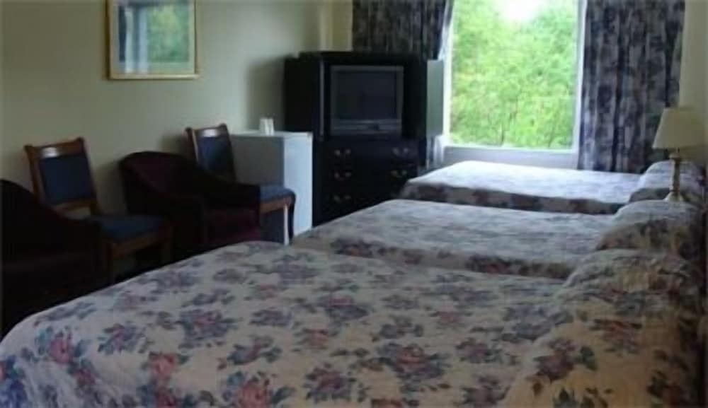 Room, 1 Queen Bed photo 1