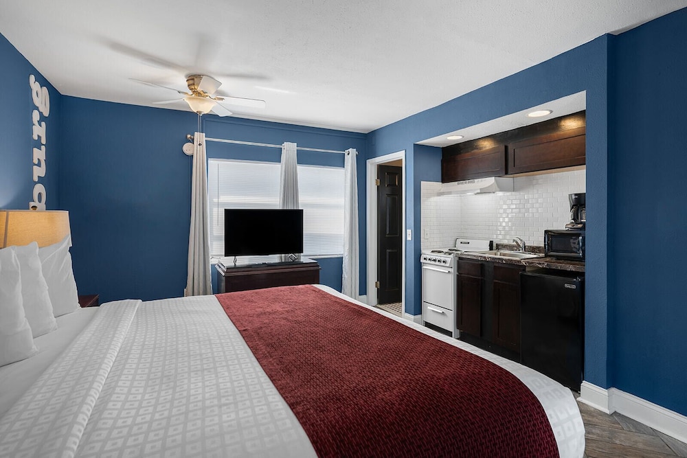 Studio Suite (Apartment in separate building) photo 3