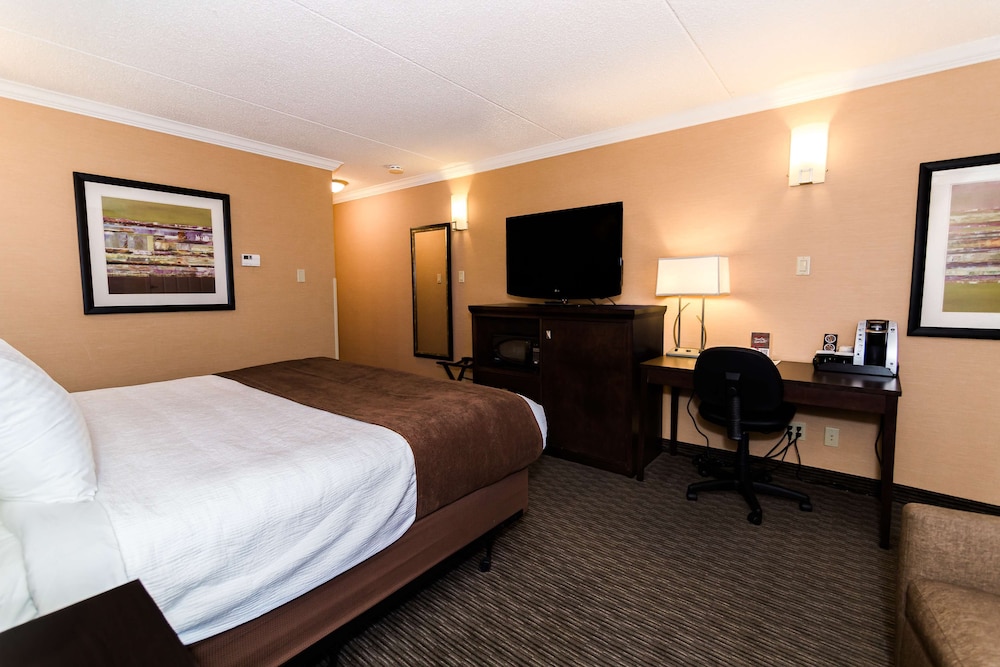 Standard Room, 1 Double Bed, Non Smoking, Refrigerator & Microwave