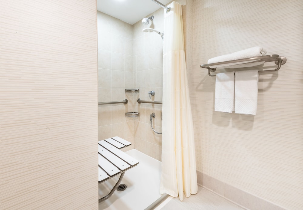 Room, 1 King Bed, Accessible (Roll-In Shower) - Photo 3