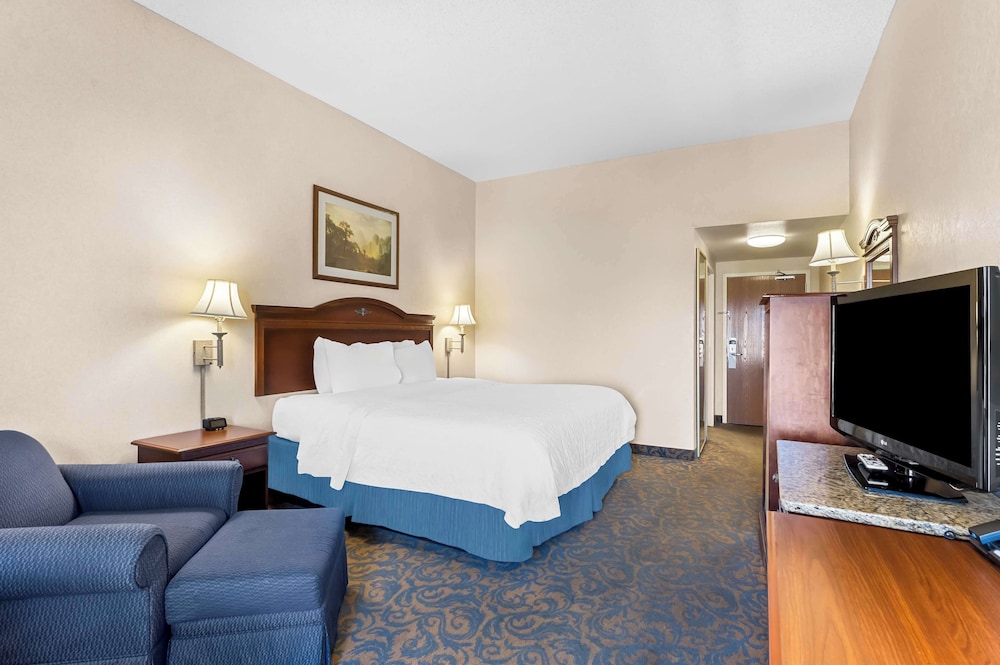 Standard Room, 1 King Bed, Non Smoking, Refrigerator & Microwave photo 2