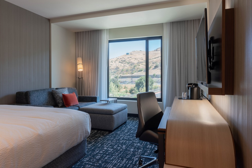 Room, 1 King Bed with Sofa bed (Mobility Accessible, Roll-in Shower)