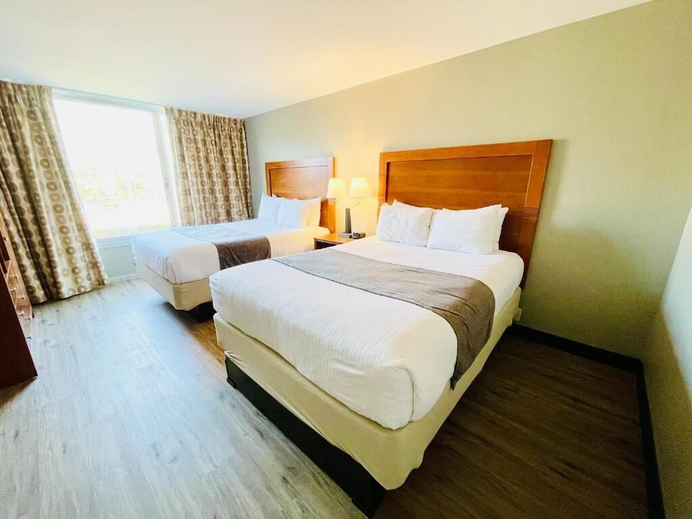 Superior Room, Multiple Beds, Non Smoking (Kitchenette) - Photo 1