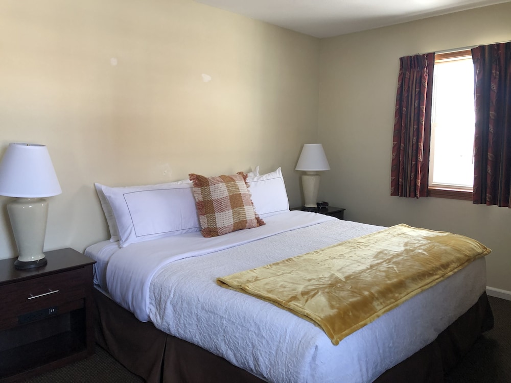 King Corner Suite - 1 King Bed with 1 Sofa bed - No pets allowed