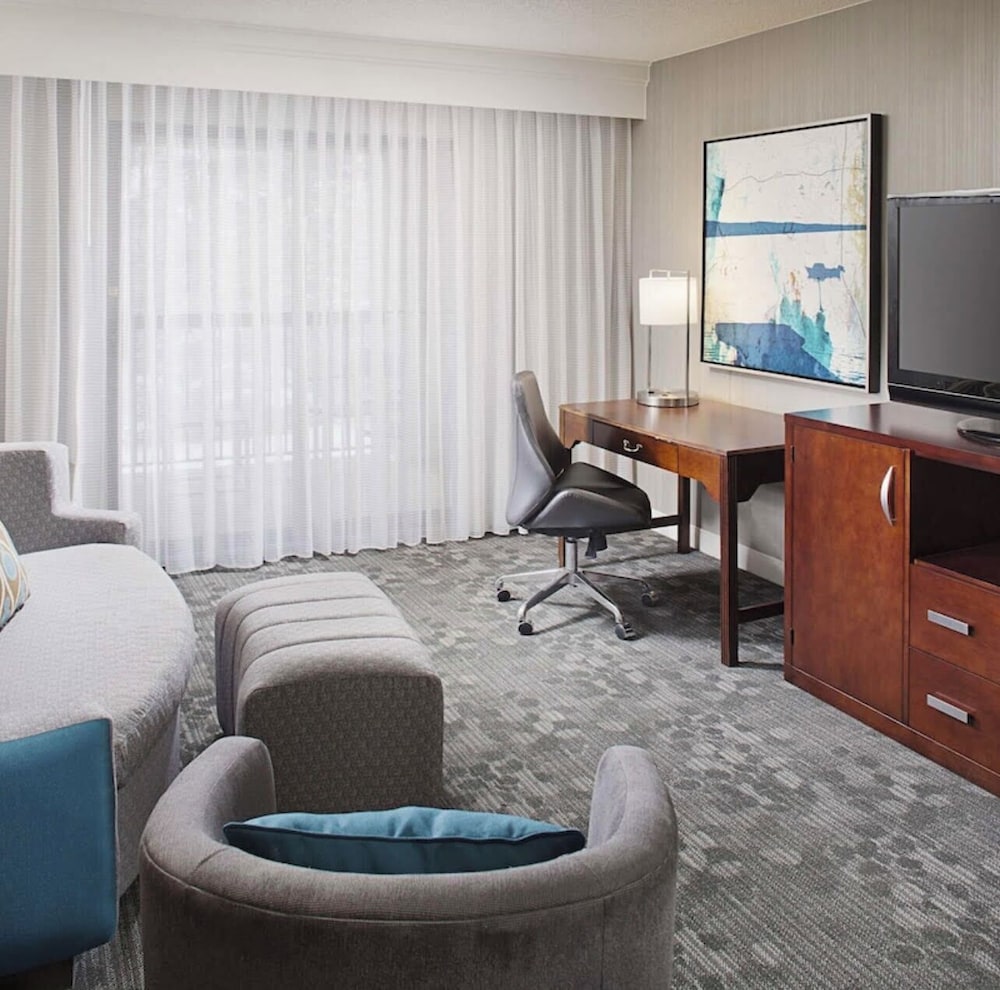 Suite, 1 King Bed, Accessible, Non Smoking - Photo 3