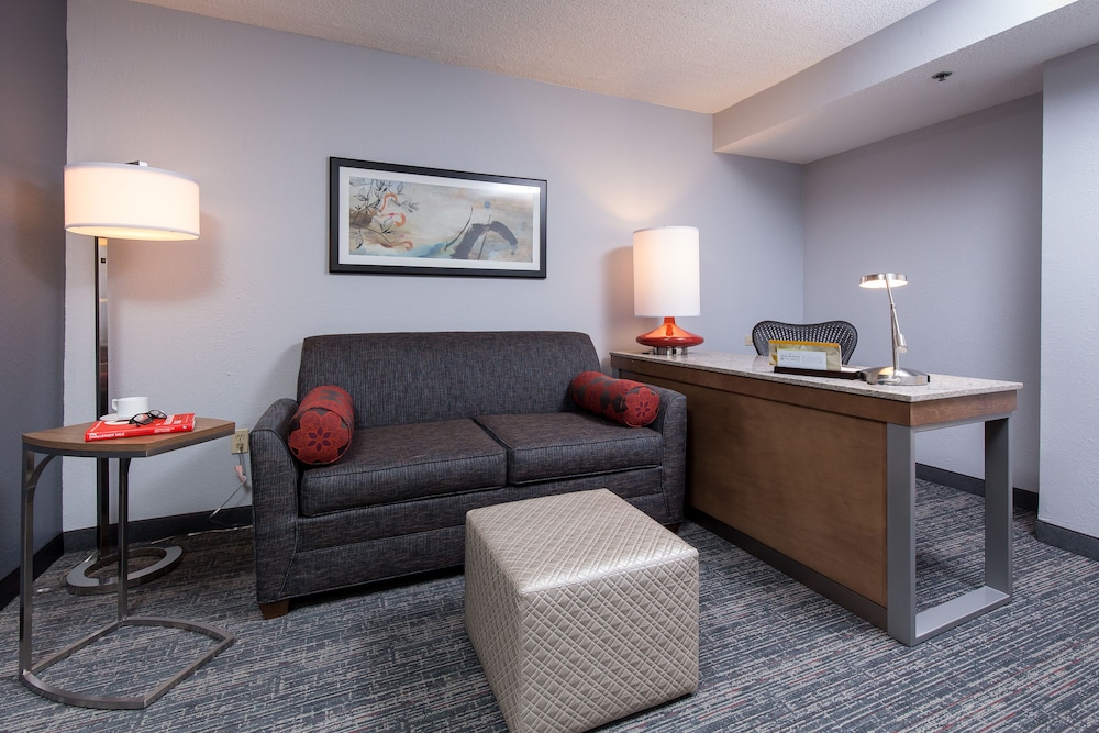 Suite - Photo 1