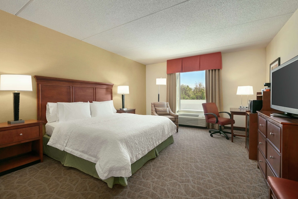 Room, 1 King Bed, Accessible, Non Smoking
