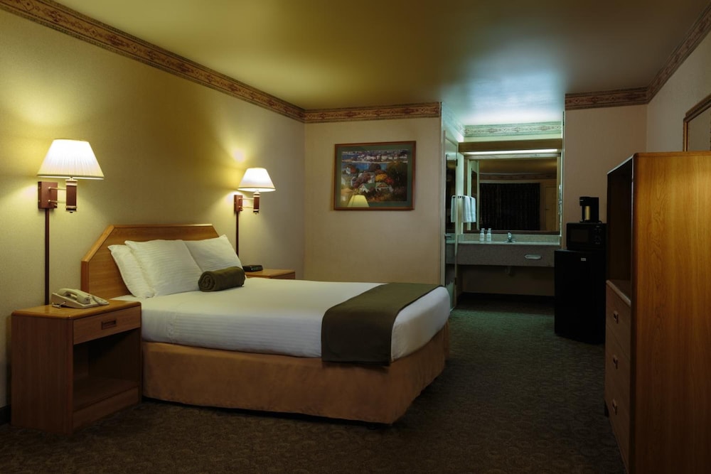 Exclusive Single Room photo 1