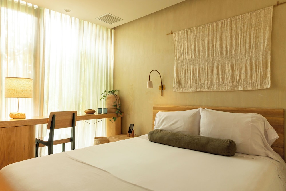 Basic Double Room