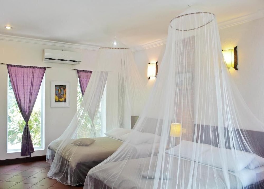 Deluxe Bungalow photo 3