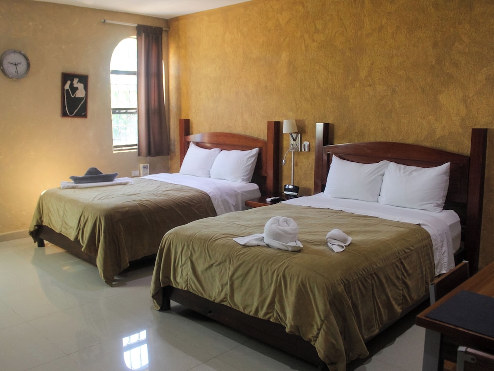 Junior Suite, Kitchenette