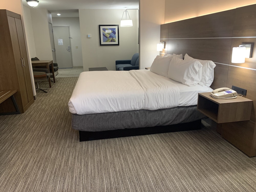 Suite, 1 King Bed photo 3